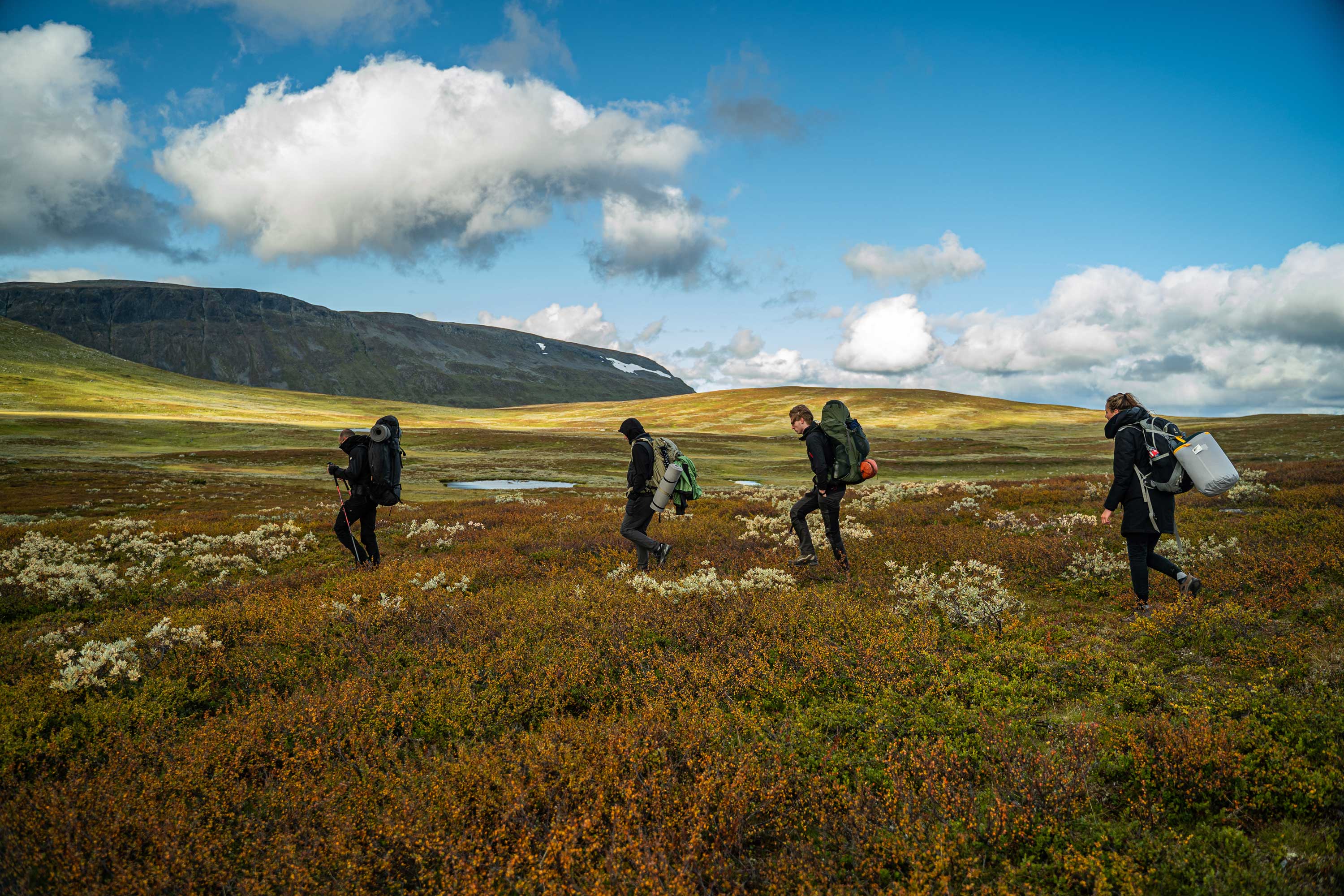 Hiking tours - Lapland Stuga & Tours // Rentjärn